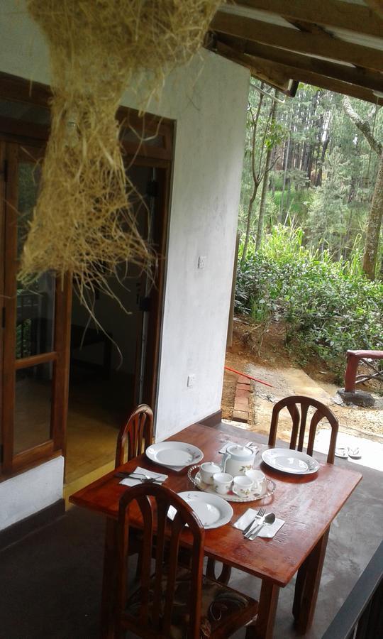 Mountain Nest Ξενοδοχείο Ella Εξωτερικό φωτογραφία